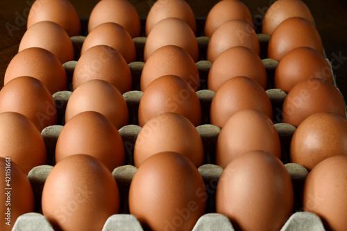 eggs in the market