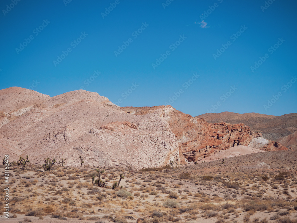 Panoramic View of Red Rock Canyon State Park