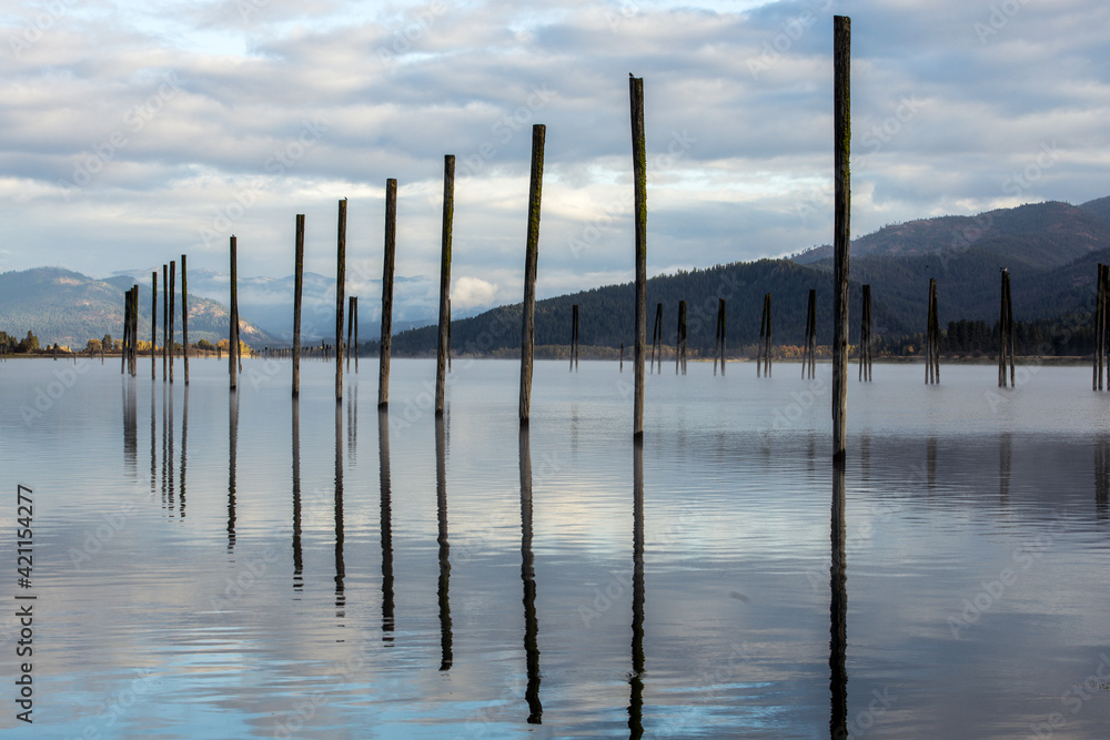 Wood pilings in the Pend Oreille RIver in October in Cusick, Washington.