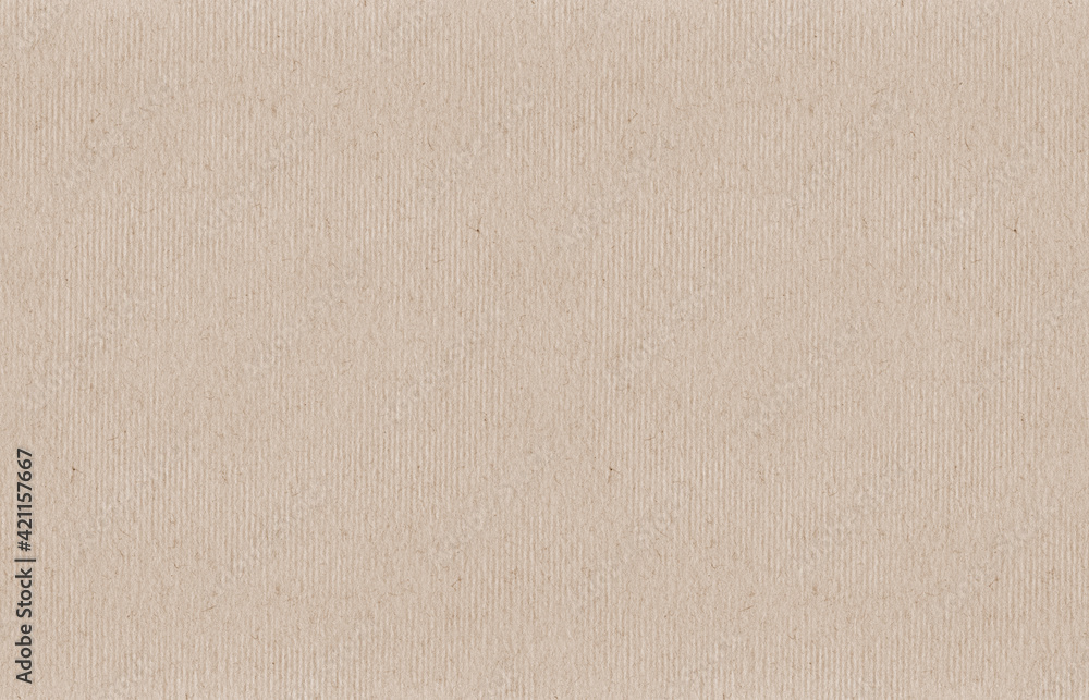 White color texture pattern abstract background can be use as wall paper screen saver cover page or for winter season card background or Christmas festival card background and have copy space for text White color texture pattern abstract background can be use as wall paper screen saver cover page or for winter season card background or Christmas festival card background and have copy space for text