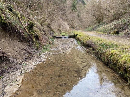 A forest stream that flows through the Stampfigraben ravine near the village of Wolhusen - Switzerland (Schweiz) photo