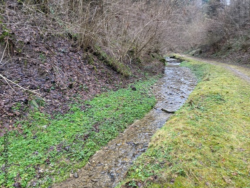 A forest stream that flows through the Stampfigraben ravine near the village of Wolhusen - Switzerland (Schweiz) photo