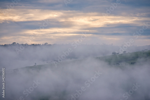Mist photographed in Goias. Midwest of Brazil. Cerrado Biome. Picture made in 2015.
