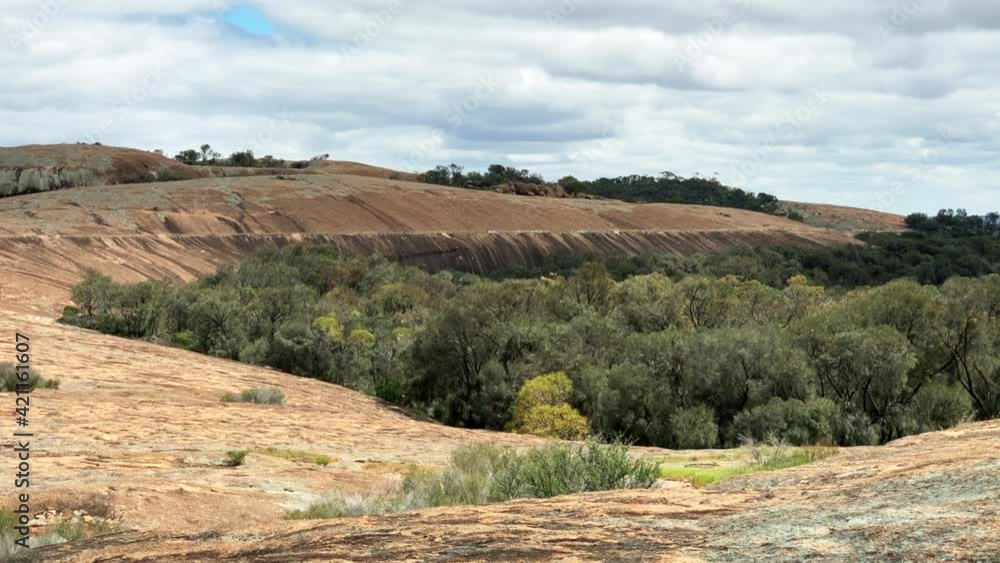 Lush Green Grove At The Cliffs Of Wave Rock Against Cloudy Sky In Hyden, Western Australia. - Static Shot Lush Green Grove At The Cliffs Of Wave Rock Against Cloudy Sky In Hyden, Western Australia. - Static Shot