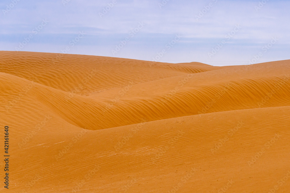 Bend of the ridge of a sand dune in the desert
