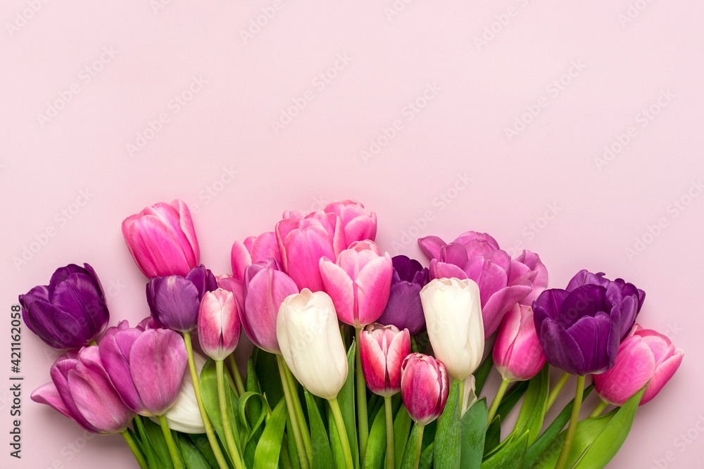 Fototapeta premium Bouquet of tulips isolated on pink background Top view flat lay Happy mother's day, International women's day, Easter concept Holiday card
