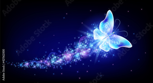 Flying butterfly with sparkle and blazing trail flying in night sky among shiny glowing stars in cosmic space. Animal protection day concept.