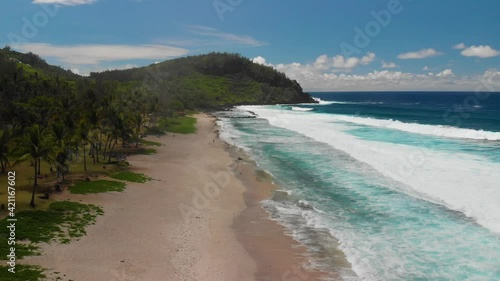 Aerial view by drone, of a paradisiac beach in the Indian Ocean, with white sand, blue water, coconut palms and big waves