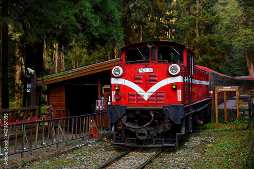 Sacred Tree Station in Alishan National Forest Recreation Area, situated in Alishan Township, Chiayi , TAIWAN photo