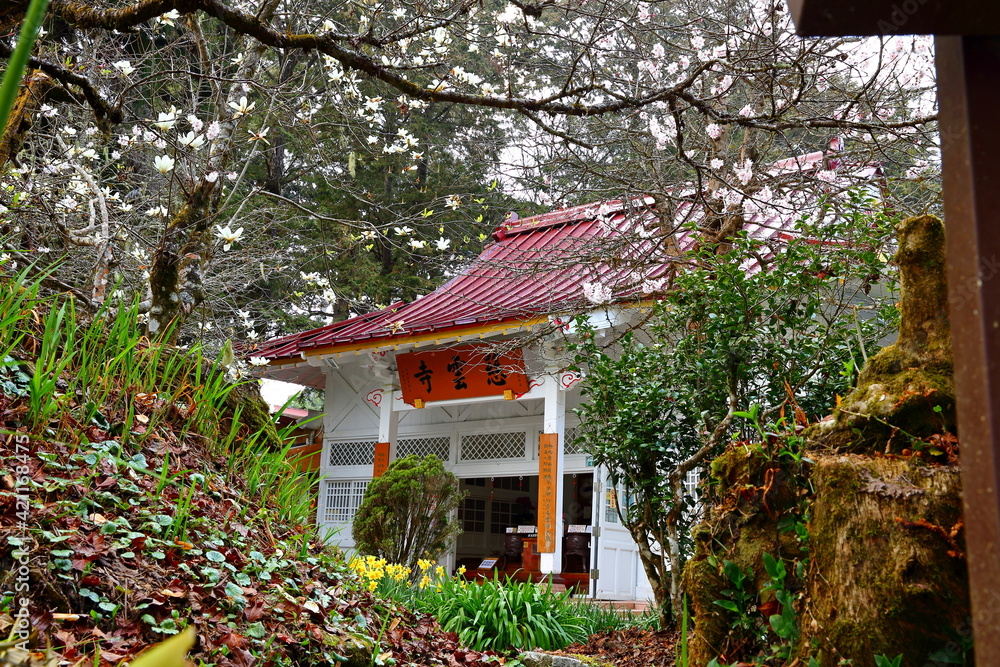 Ciyun Temple in Alishan National Forest Recreation Area, situated in Alishan Township, Chiayi , TAIWAN