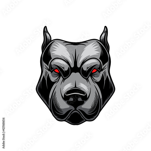 Illustration of angry pitbull head. Design element for logo, label, sign, emblem, poster. Vector illustration