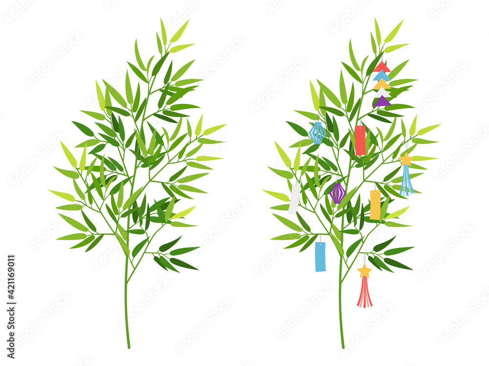 Obraz premium 笹（飾りなし／七夕飾り付き）