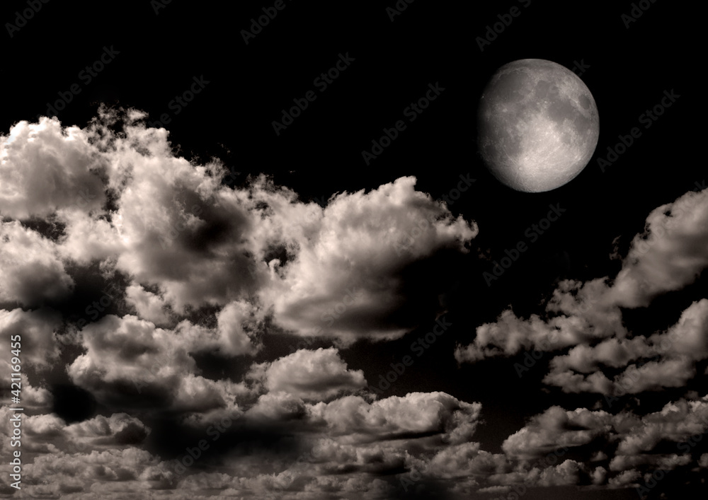 Fototapeta premium The moon in the night sky
