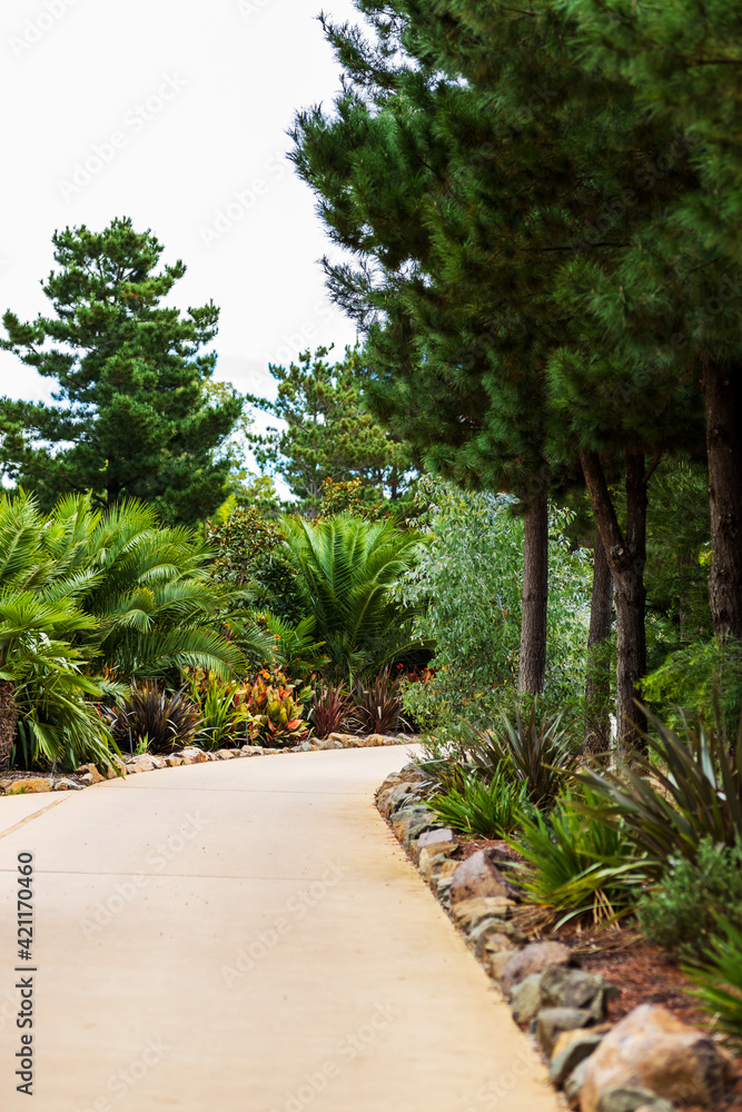 beautiful tropical park landscape beautiful tropical park landscape
