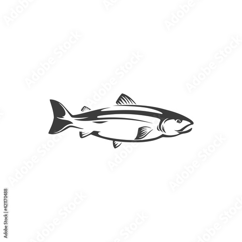 Fish chum or pink salmon, sockeye isolated monochrome icon. Vector seafood, fishing sport trophy underwater animal. Herring or sea humpback, trout fish fishery mascot, freshwater animal