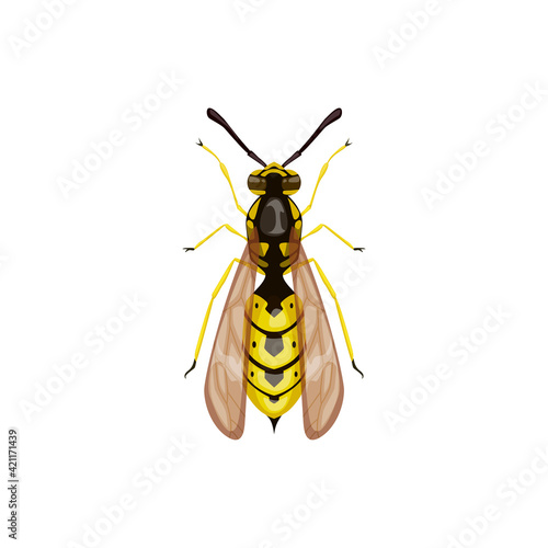 Wasp icon, pest control insect parasite, hornet vector isolated. Pest control disinsection, disinfection and extermination symbol, agriculture insects pesticide disinfestation