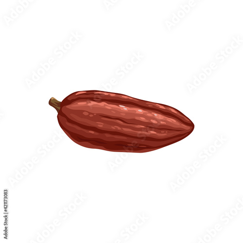 Cocoa bean vector icon, chocolate cacao tree plant food. Confection ingredient for kakao powder. Cocoa unpeeled seed or pod. Cartoon confectionery sweets sign