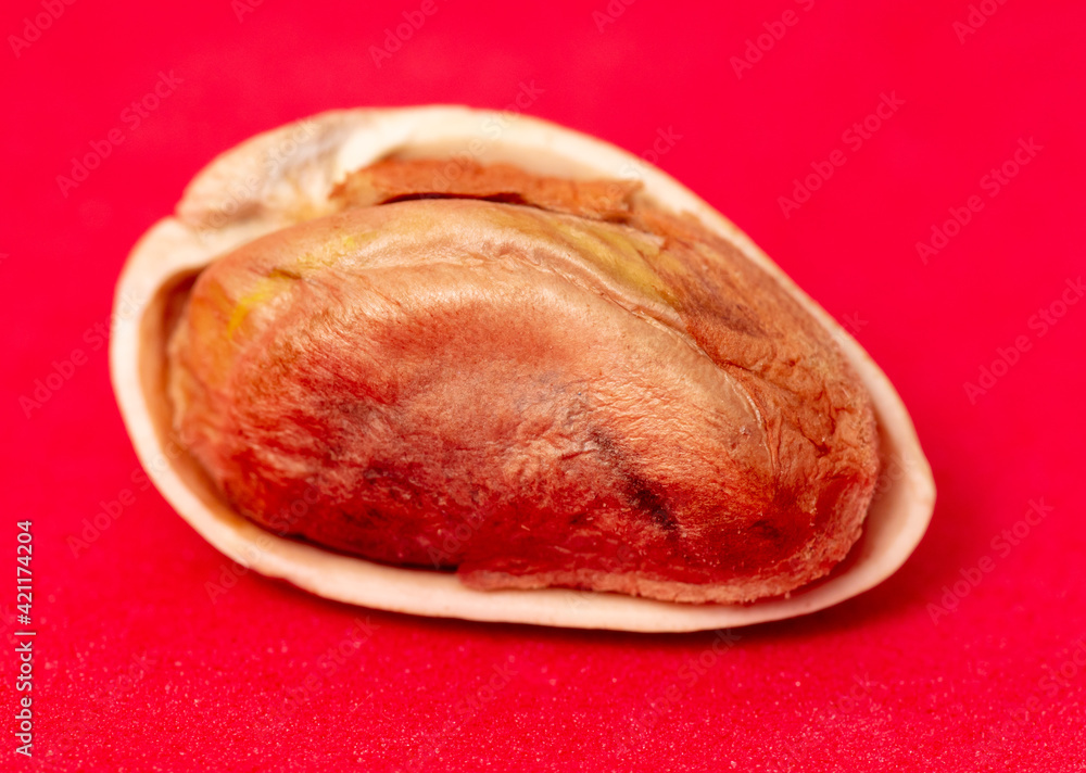 Close-up of fresh pistachio nuts on a red background. Close-up of fresh pistachio nuts on a red background.
