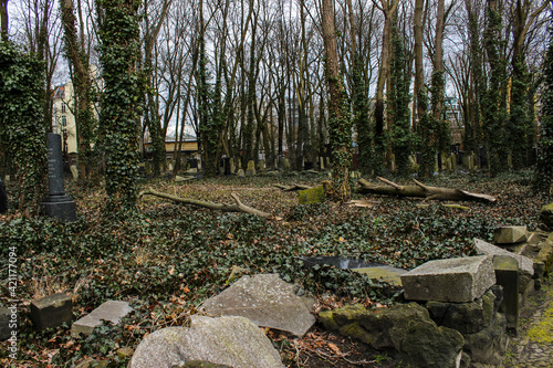 Jewish cemetery in Germany with old tombs photo