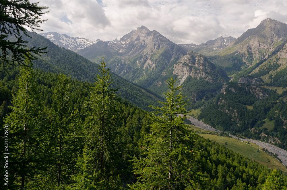 Mountain scenery of Queyras (Alps, France)