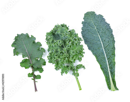 Kale leaf salad vegetable isolated on white background