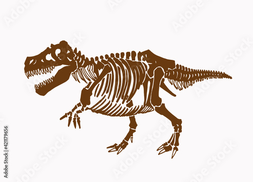Graphical vintage skeleton of raptor ,sepia background,vector element,anthropology fossil