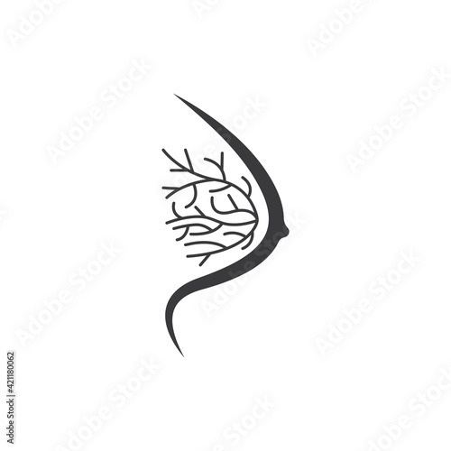 woman breast anatomy icon vector illustration design template