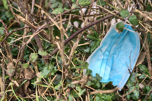 Environmental pollution with disposable surgical face mask during COVID-19. Thrown away or lost dirty face mask on spiky shrub along the road, Ticknock, Dublin, Ireland photo