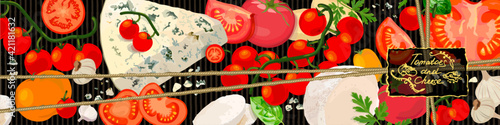 Tomatoes and cheese background. Varieties of tomato products, gourmet cheeses and verdure. Vector Illustration