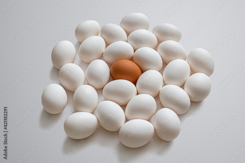Among the white eggs, one egg with a brown shell on a light background Among the white eggs, one egg with a brown shell on a light background