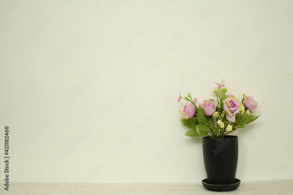pink flowers in a vase on white wall beautiful background pink flowers in a vase on white wall beautiful background