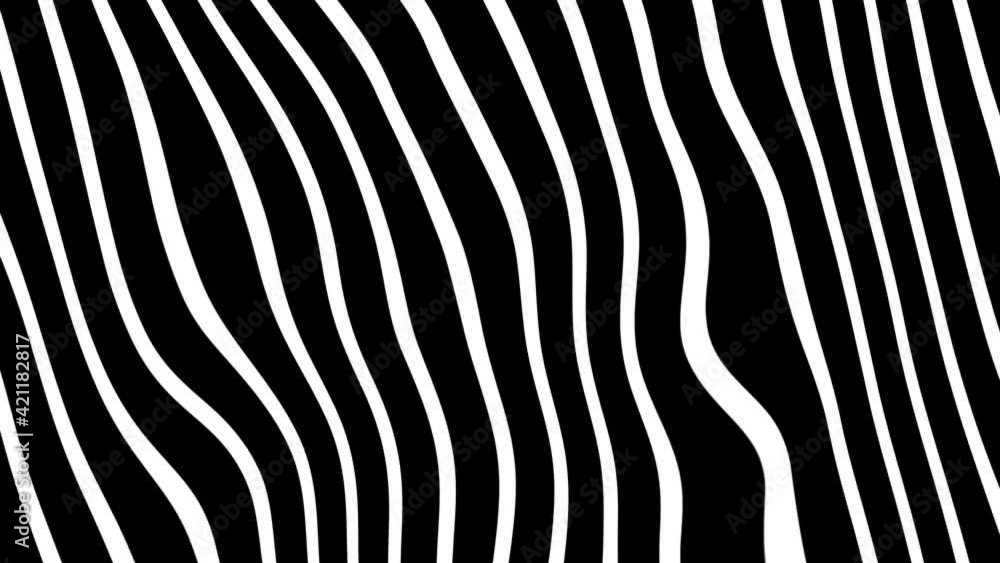 White and black lines background White and black lines background