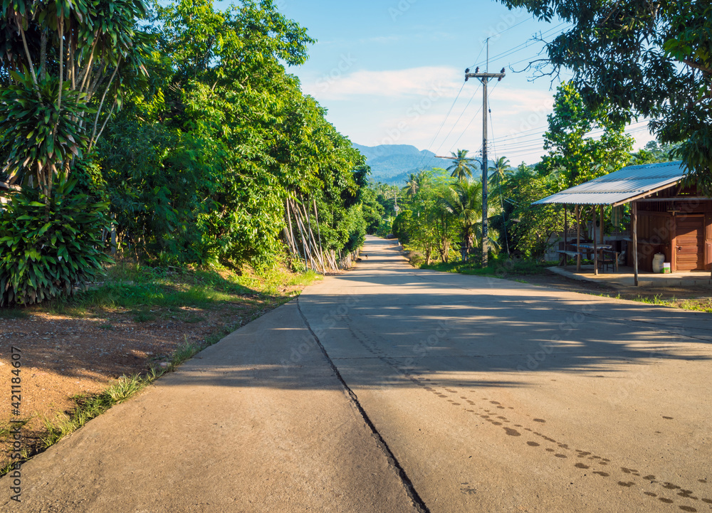 Obraz premium On the small concrete road in the countryside