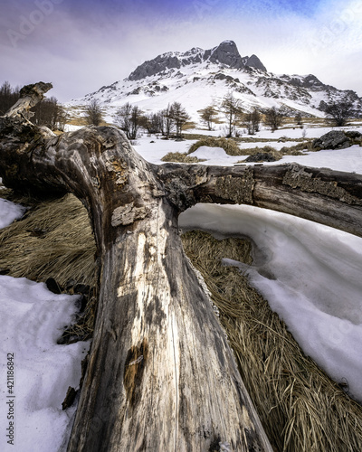 Fine inverno al Gran Sasso: un tronco morto e il corno piccolo al disgelo photo