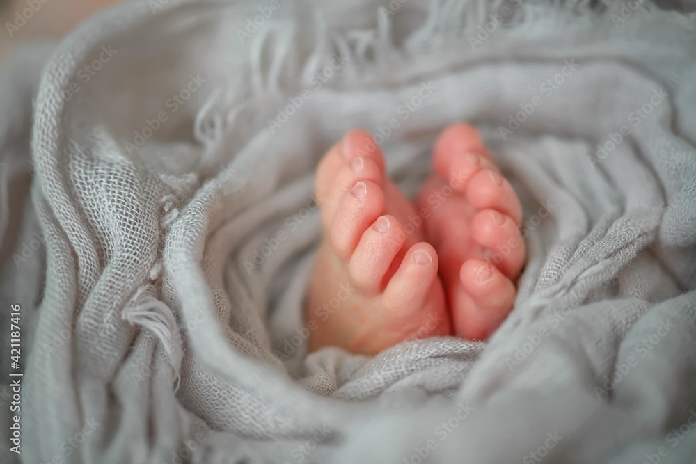 Newborn baby feet wrapped in cloth Newborn baby feet wrapped in cloth