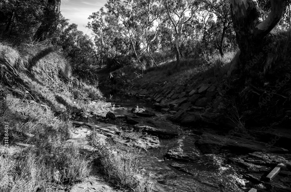 Black and white photo of a creek