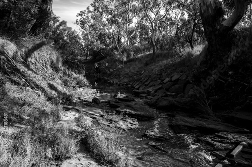 Black and white photo of a creek