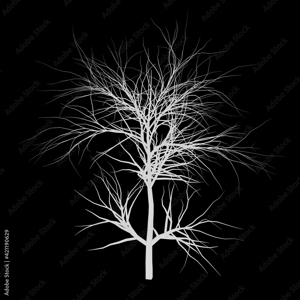 White tree 3d rendering. Tree picture. Black background. White tree 3d rendering. Tree picture. Black background.