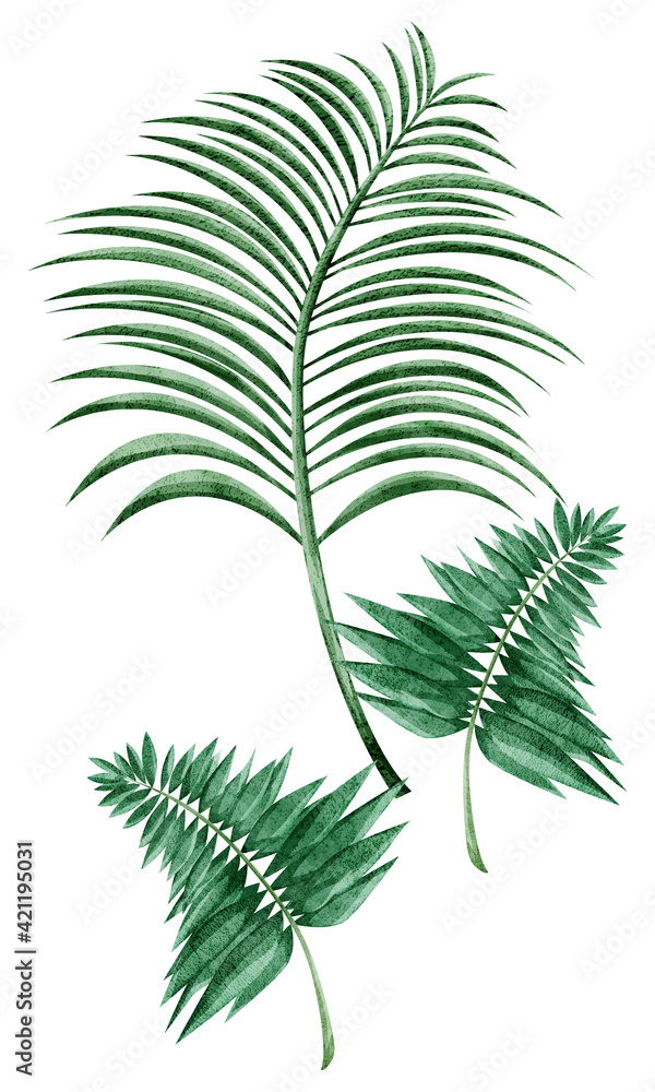 熱帯植物の手描き水彩風イラスト