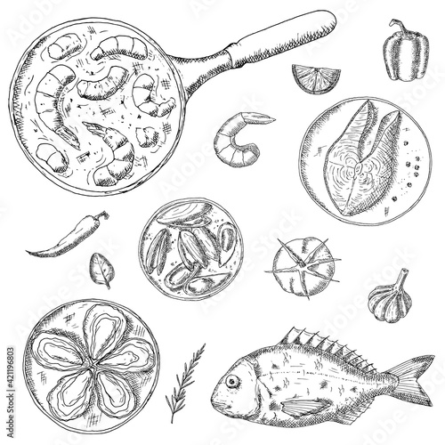 Seafood. Vector illustrations. Isolated objects on a white background.