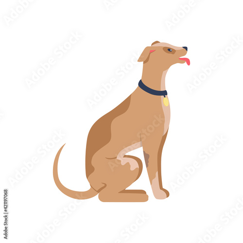 Obedient dog in collar flat color vector detailed character. Happy puppy. Teach pup tricks. Domestic animals. Pet training isolated cartoon illustration for web graphic design and animation