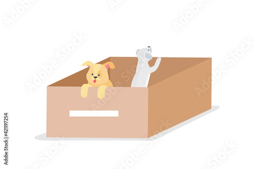 Homeless grey and ginger dogs flat color vector detailed characters. Save homeless animals. Puppy litter, box with doggies on street isolated cartoon illustration for web graphic design and animation