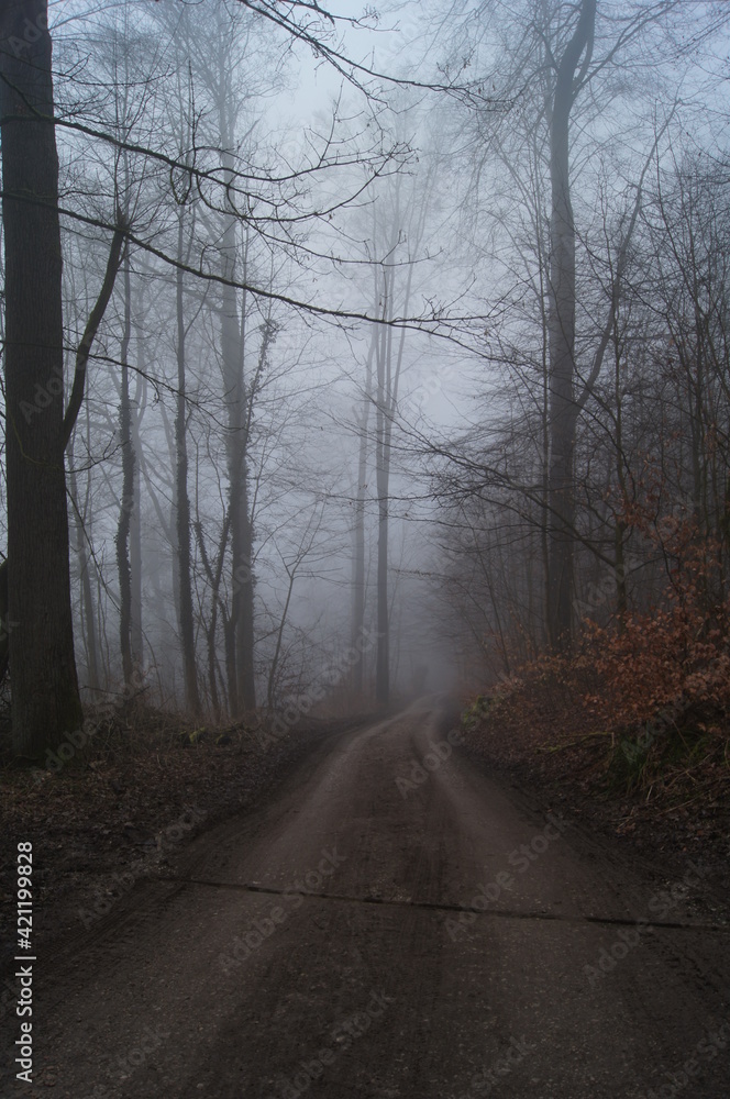 Der Hermanns Weg bei Bielefeld im dichten Nebel am Morgen im Teutoburgerwald Der Hermanns Weg bei Bielefeld im dichten Nebel am Morgen im Teutoburgerwald