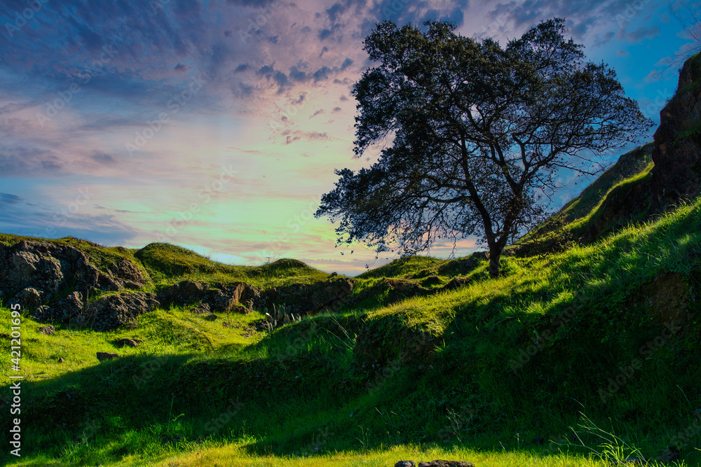 Tree On The Hill. Sunset Landscape Of A Valley With A Tree And A Dramatic Sky. Tree On The Hill. Sunset Landscape Of A Valley With A Tree And A Dramatic Sky.