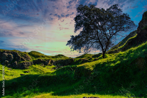 Tree On The Hill. Sunset Landscape Of A Valley With A Tree And A Dramatic Sky.
