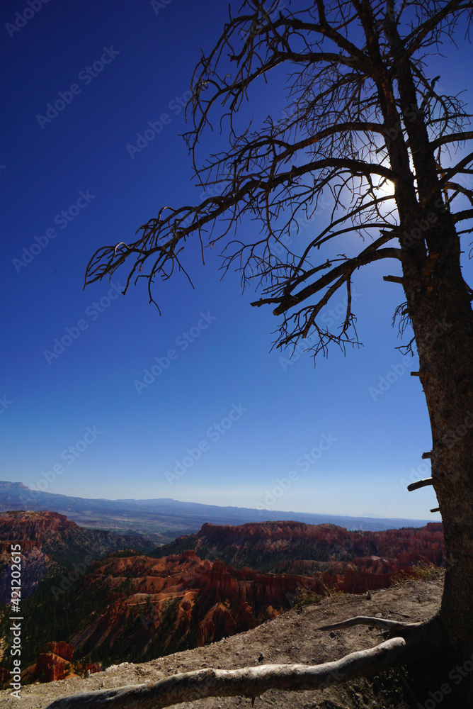 無数の岩の尖塔がそびえ立つ渓谷ブライスキャニオン国立公園の絶景