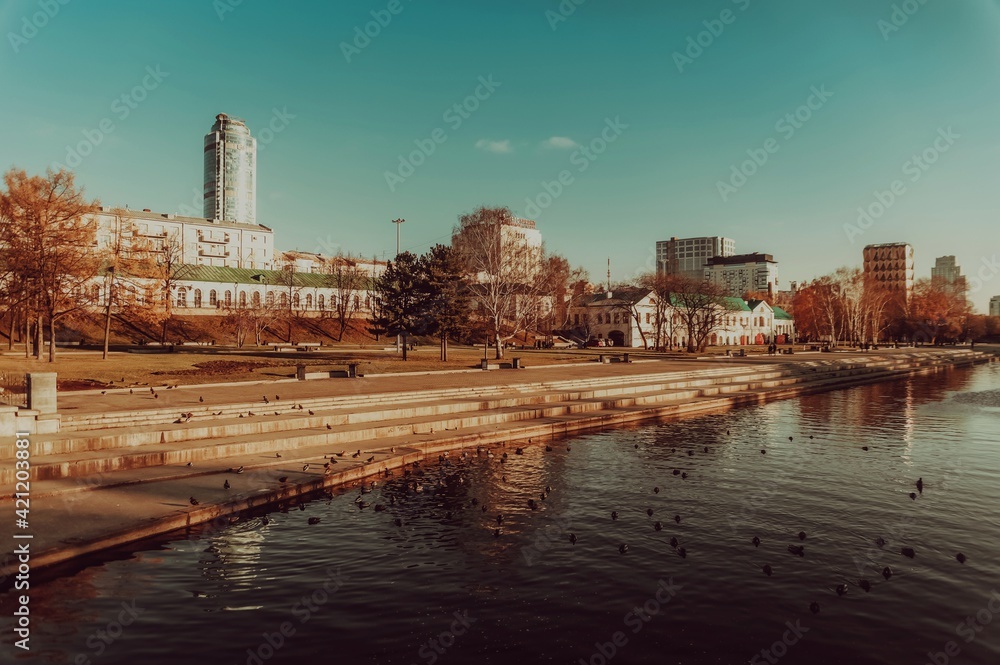 Ducks swim in the river near the embankment of the city of Yekaterinburg, Russia, shot on a bright sunny day.