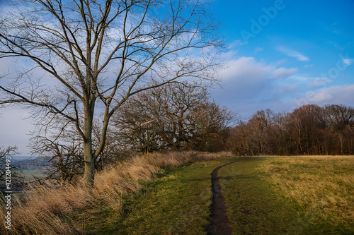 Path in the field, sunny day, nature conceptual image, autumn landscape, naked trees and blue sky, well-trodden pathway in the grass, Hiking Golden Trail of Bohemian Paradise in Czech Republic