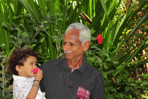 Standing in the garden with an Indian grandfather and a small grandson, looking in front of each other, smiling and the small child smelling the fragrance from the native rose flower