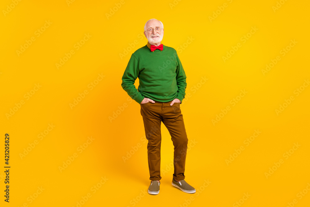 Full length photo of positive charming age gentleman wear sweater bowtie spectacles smiling isolated yellow color background Full length photo of positive charming age gentleman wear sweater bowtie spectacles smiling isolated yellow color background